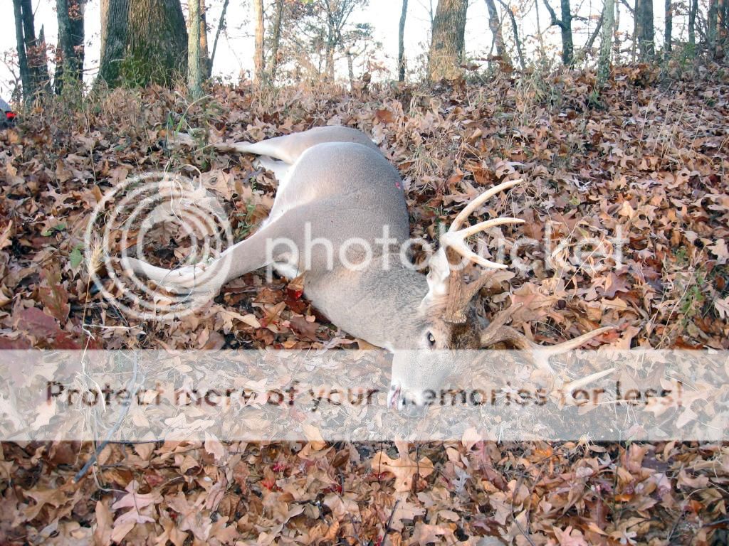 Shawnee National Forest? Archery Talk Forum